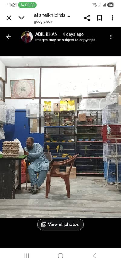 Birds shop Sales man required