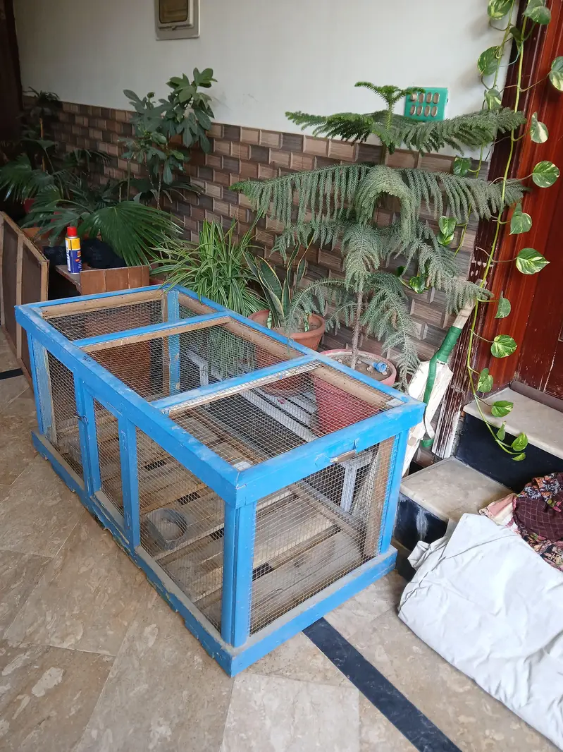 Birds cage in Sale
