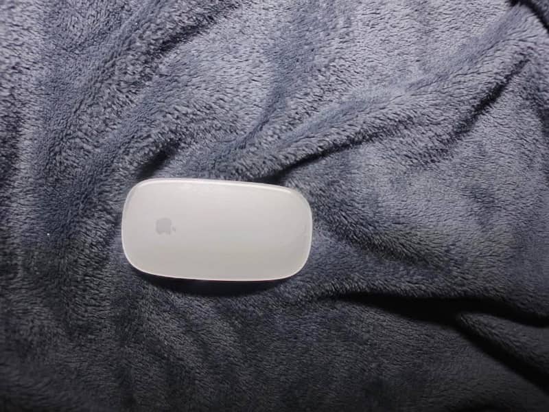 Apple Magic Mouse 2 0