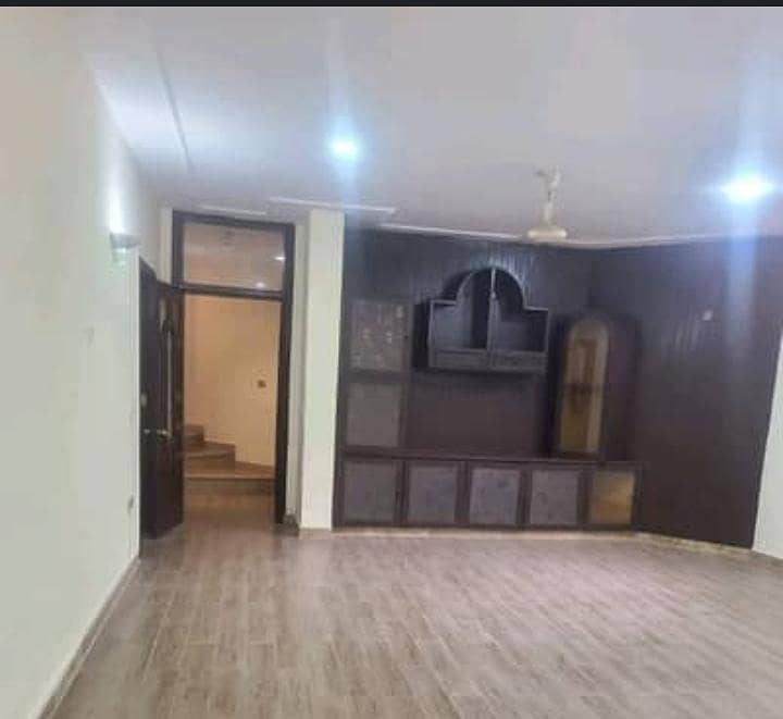 25y Experienced Painter 5