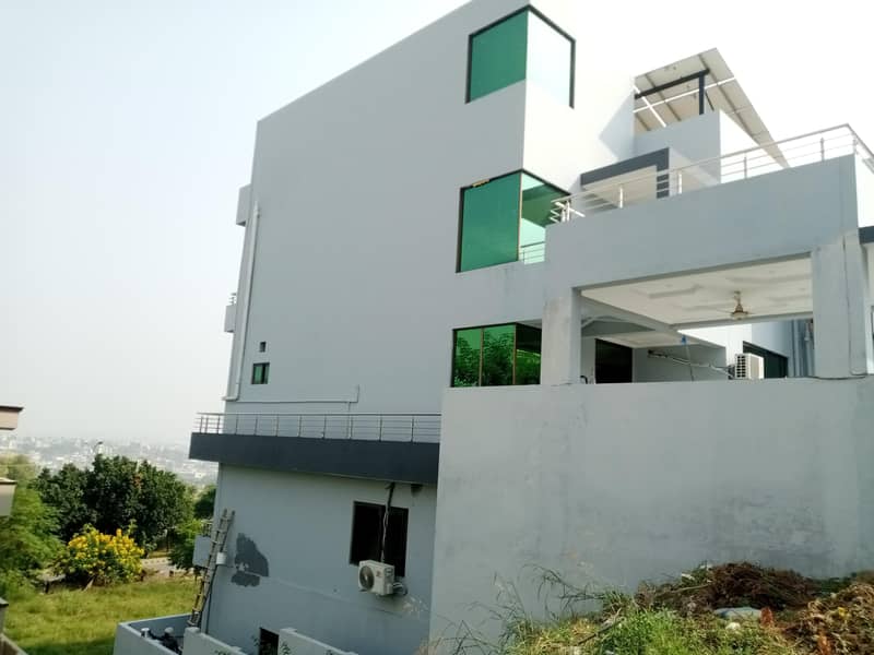 25y Experienced Painter 4
