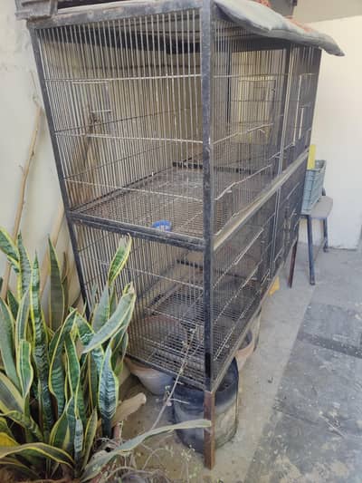 Cage For hen And Parrots
