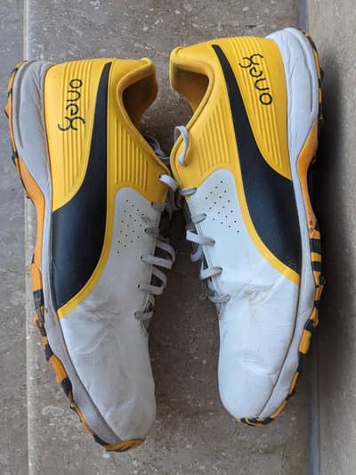 Puma one8 Cricket Gripper