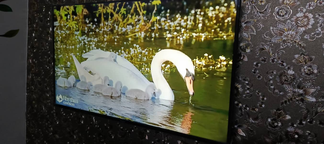 Haier smart android led full Hd - Televisions - 1108223165