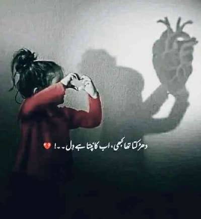 Arslan Ali