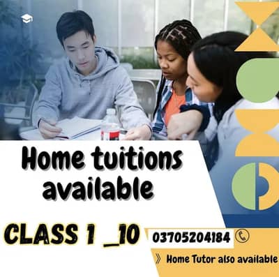 Online/Home Tutor Available