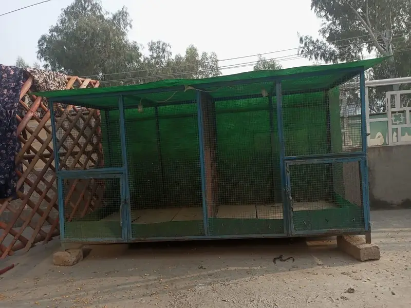 Iron Cage Best Quality — photo 3