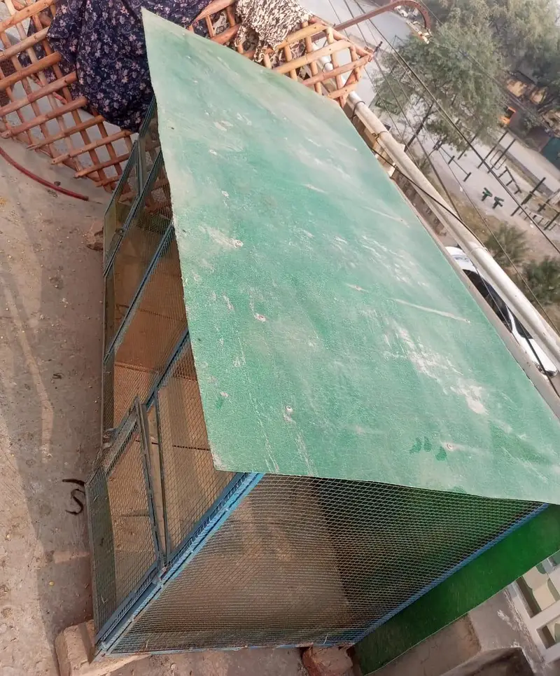 Iron Cage Best Quality — photo 4