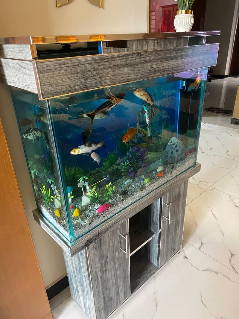 Fish equarium - Others - 1108282675