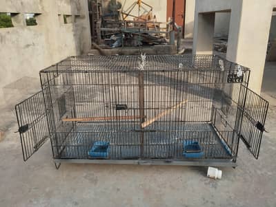 Iron Birds cages
