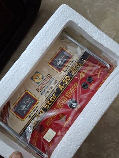 GoldStar Stabilizer 3000W