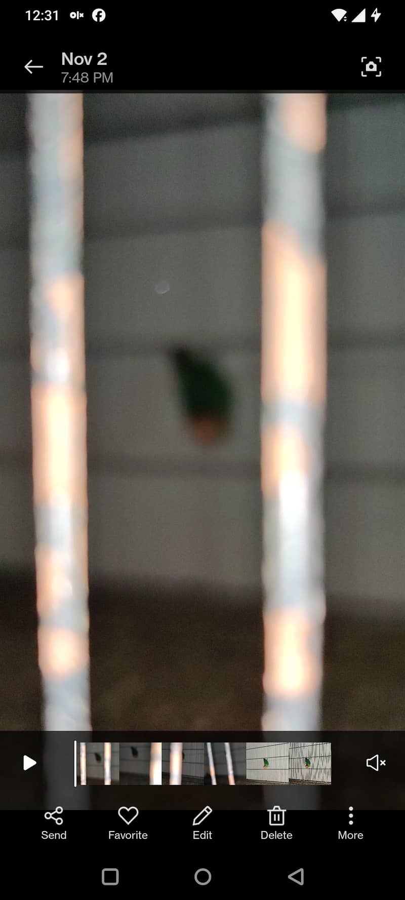 pale fellows visual and split 6