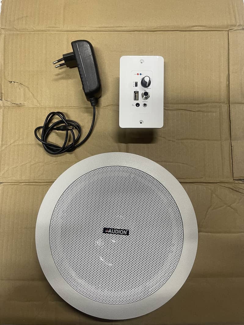 Bluetooth Ceiling Speaker 0