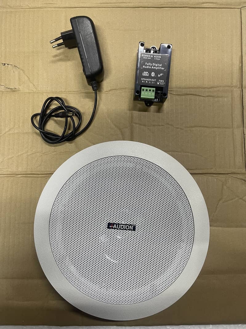 Bluetooth Ceiling Speaker 3