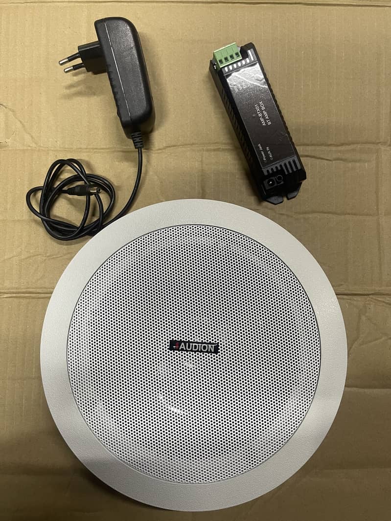 Bluetooth Ceiling Speaker 4