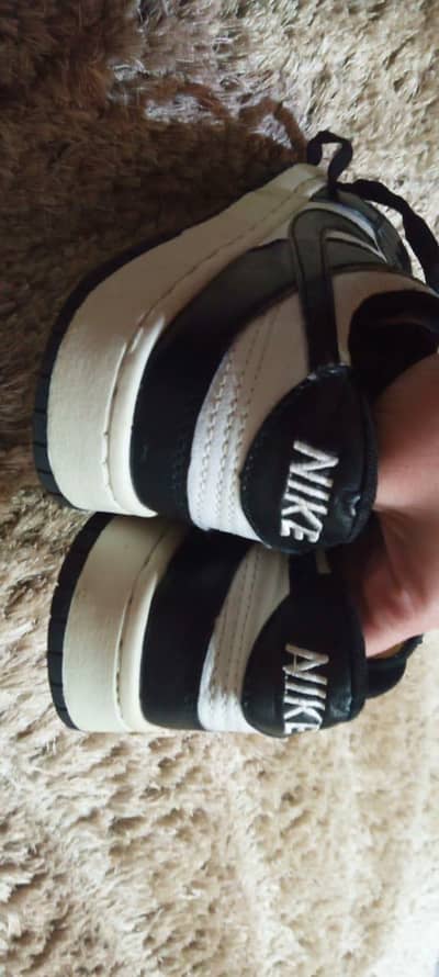 Nike dunk fusion