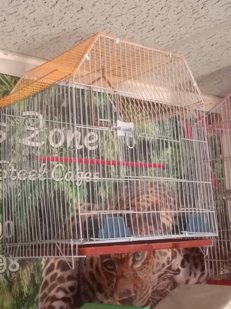 cages 4