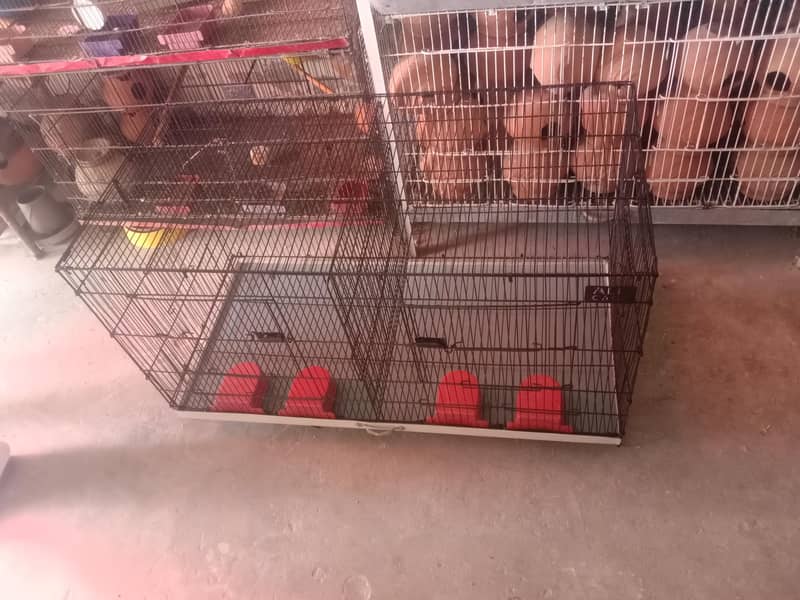 cages 7