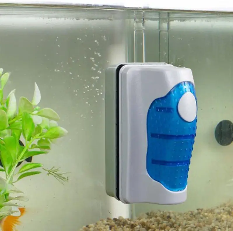 Fish, aquarium and all accessories — photo 4