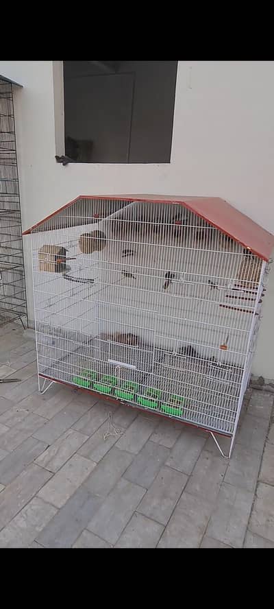 colony cage for sale