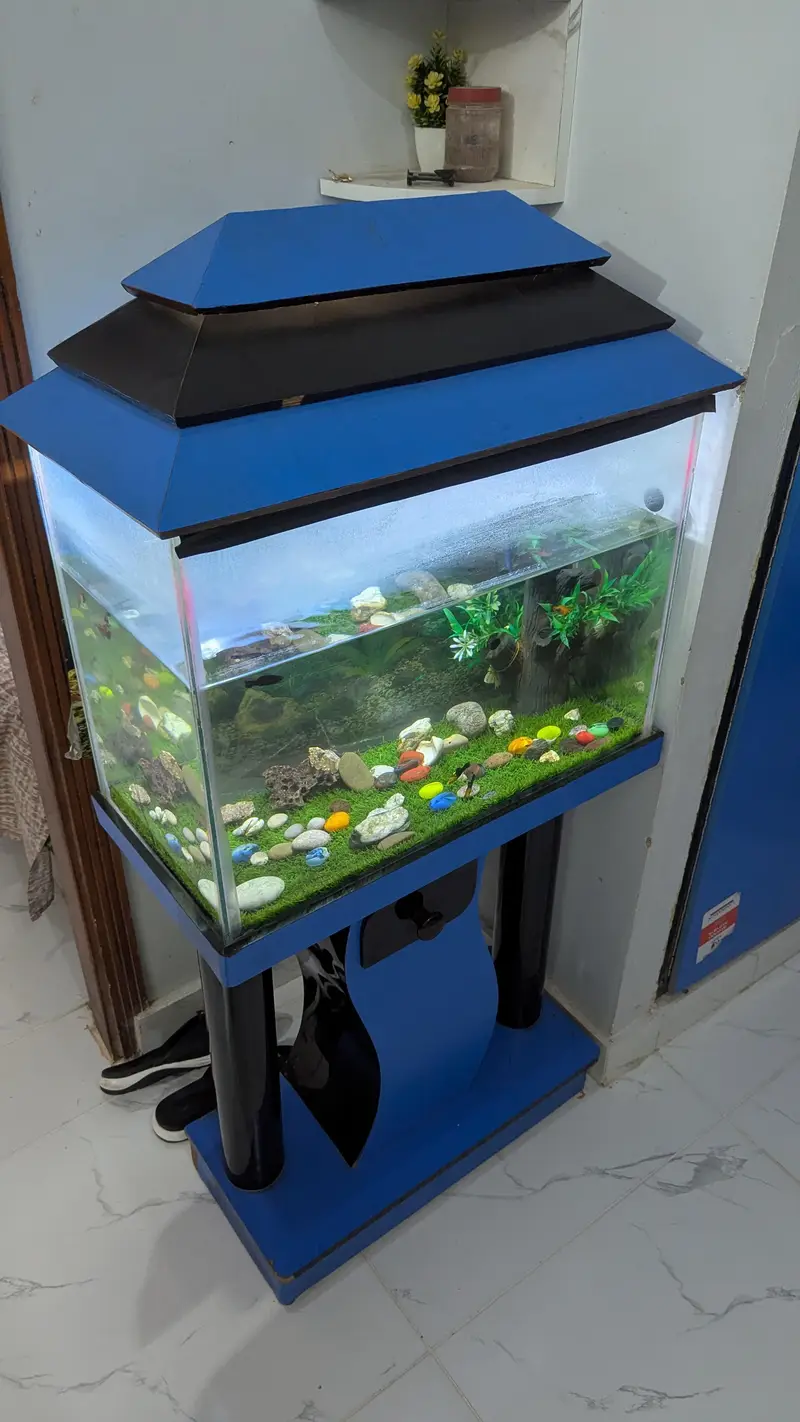 Fish Aquarium — photo 2