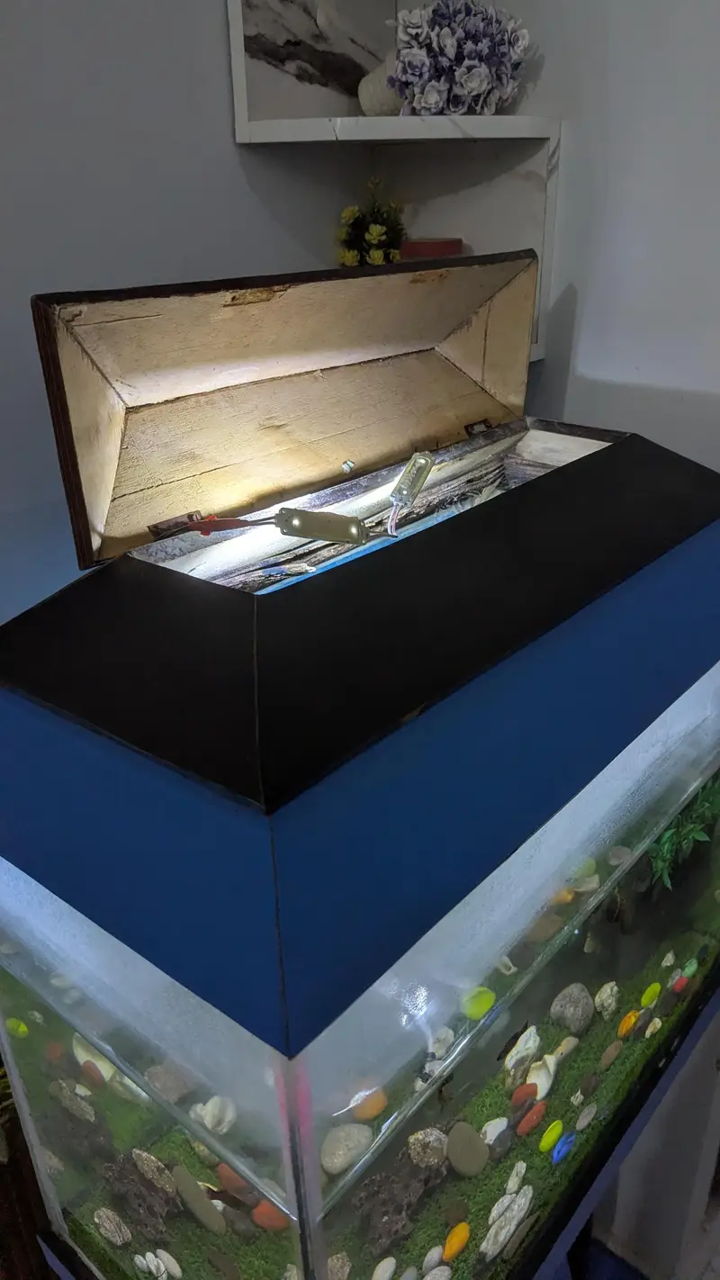 Fish Aquarium — photo 5