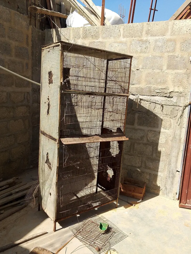 Hen cage Pinjra
