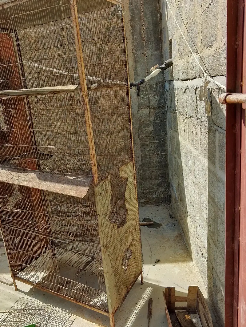 Hen cage Pinjra — photo 2
