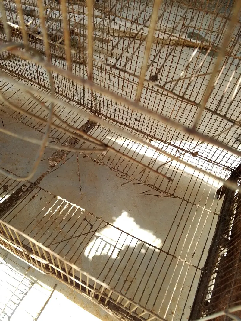 Hen cage Pinjra — photo 6