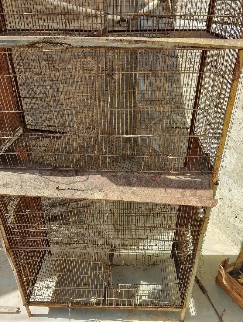 Hen cage Pinjra — photo 8