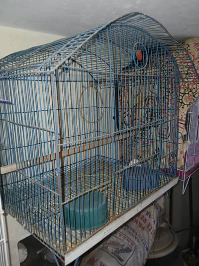 1.5×2 k 2 cage pinjry for sale