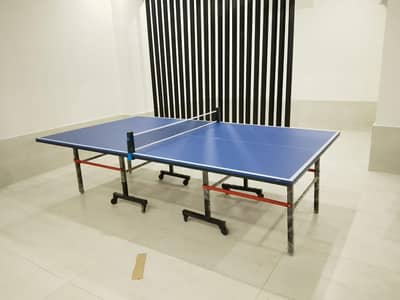 Table Tennis Table
