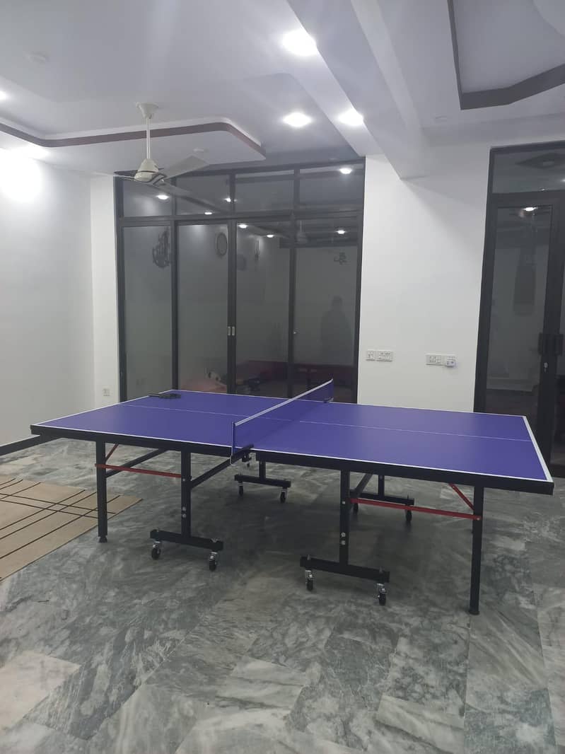 Table Tennis Table 2