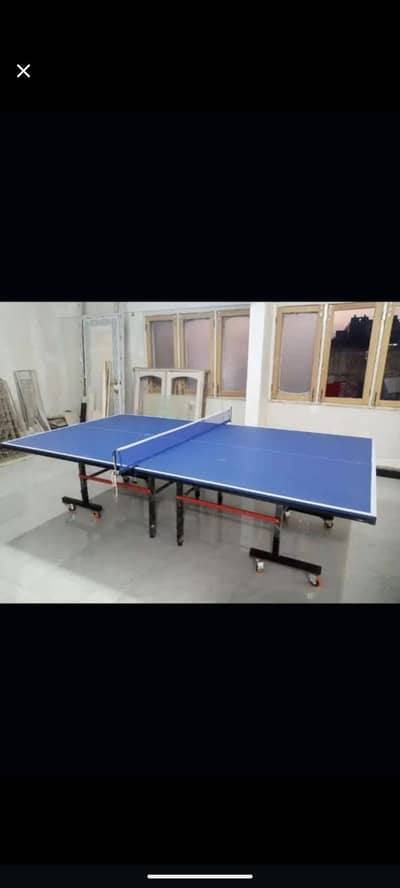 Table Tennis Table