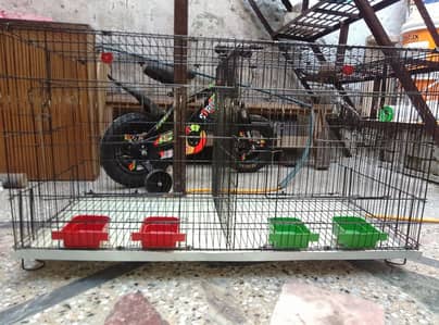 new iron folding cage for sale