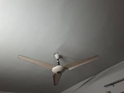 ceiling fan