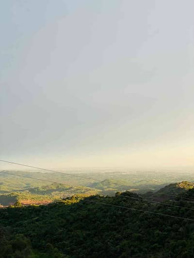 Rana Umair