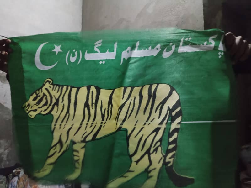 Pakistani Flags & Other Countries Flags 3