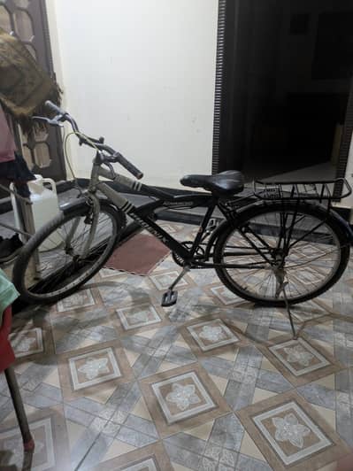 Phoenix China's bicycle