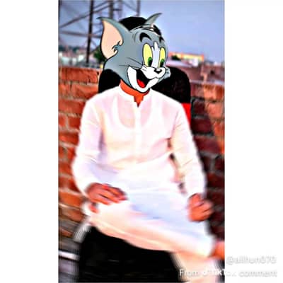 Ameer Hamza 