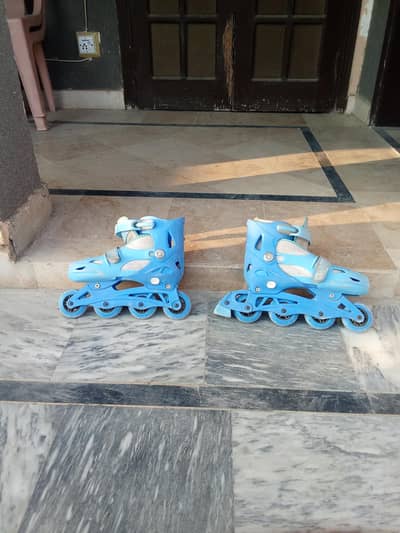 Men's Skating shoe's . Roller skates 1 Piece