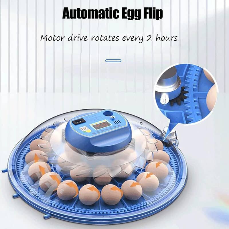 Automatic Egg Incubator | Egg Hatching Machine | Incubator | Brooder 2