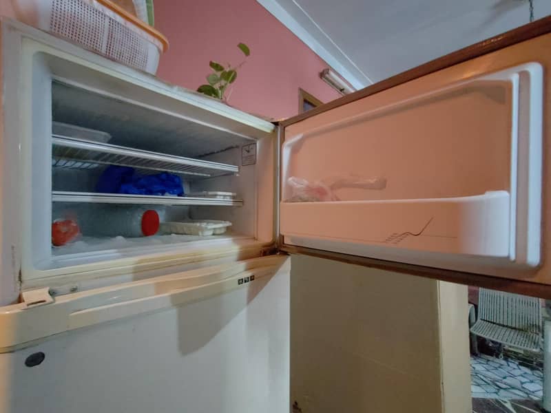 refrigerator model 2001 1