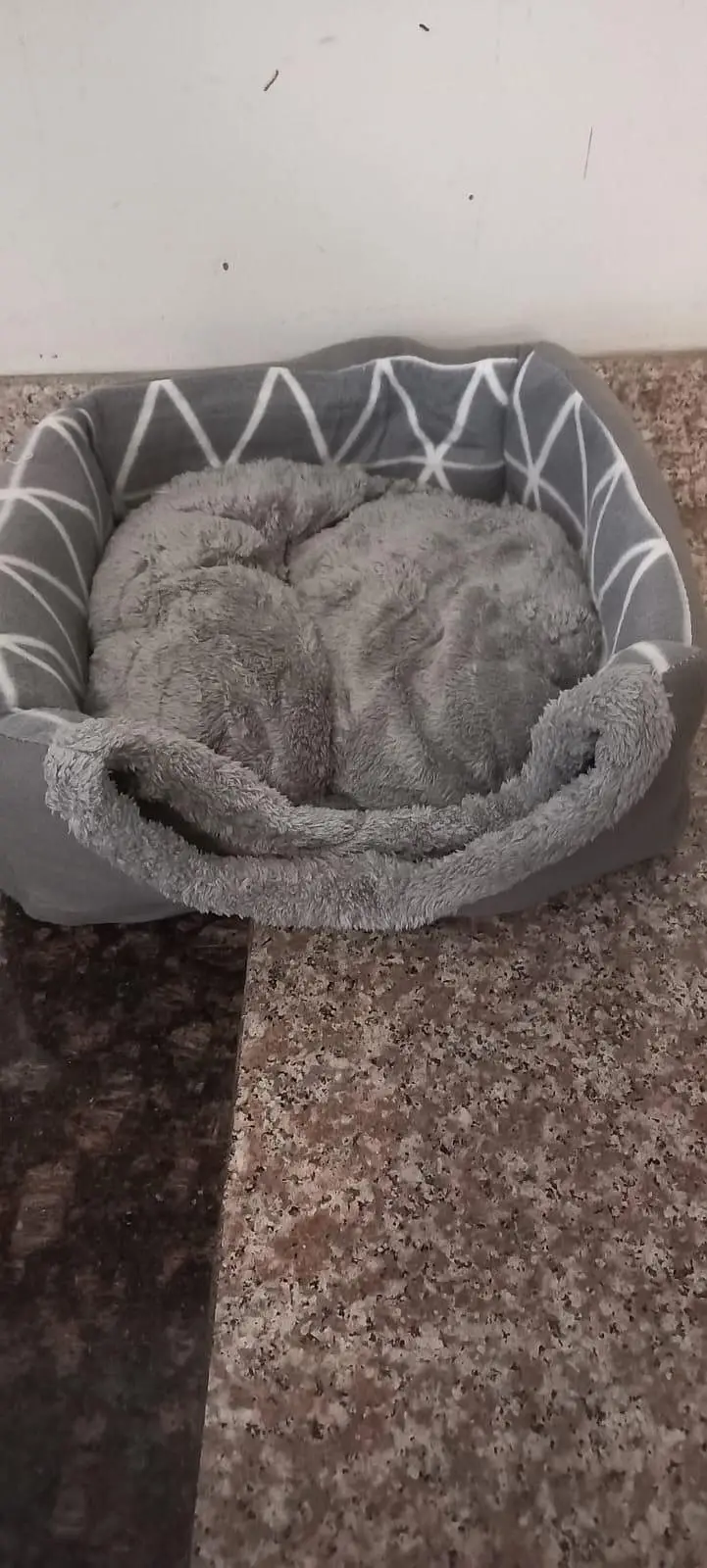 pet beds and houses — photo 5
