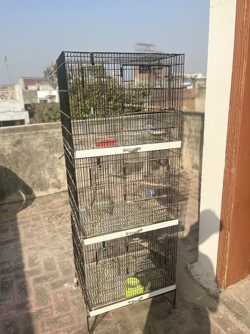 Parrot cage for sale — photo 2