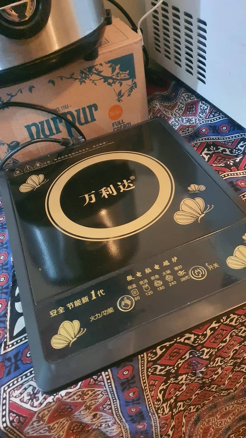 induction stove 1