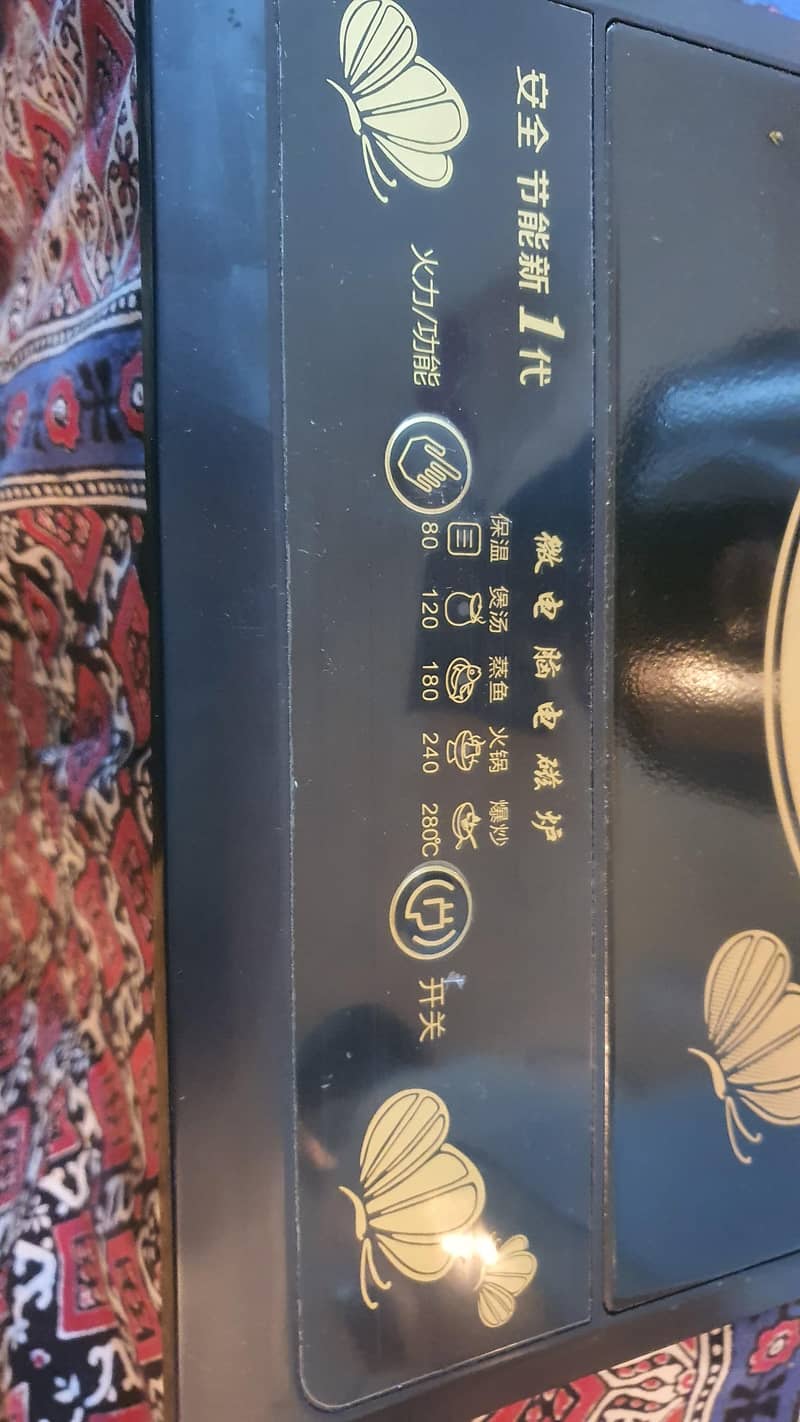 induction stove 2