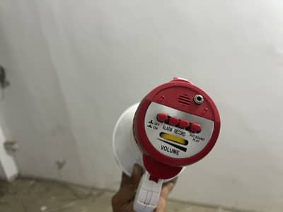 Mic speaker