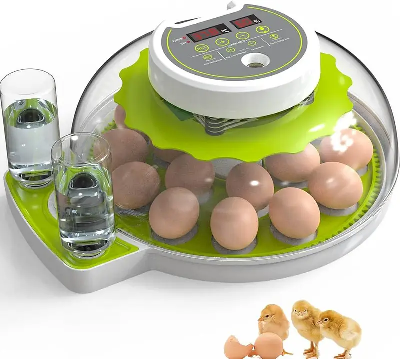 RAMZAN OFFER 18/8 EGGS FULLY AUTOMATIC INCUBATOR AC+DC — photo 2