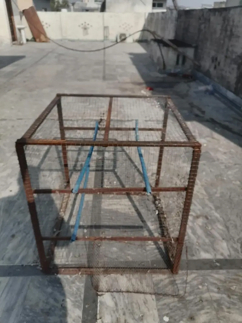 iron cage
